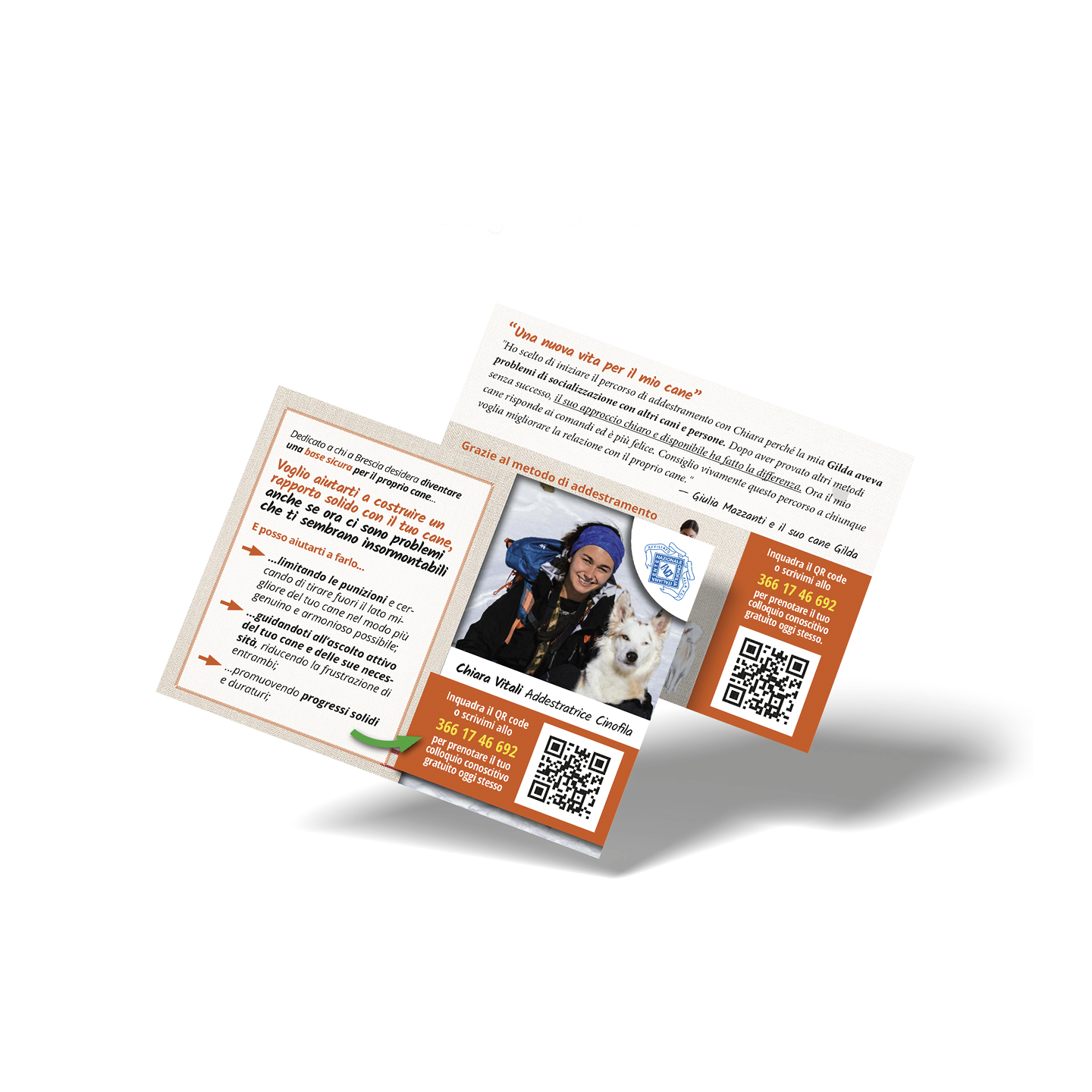 Dog Training Postcard