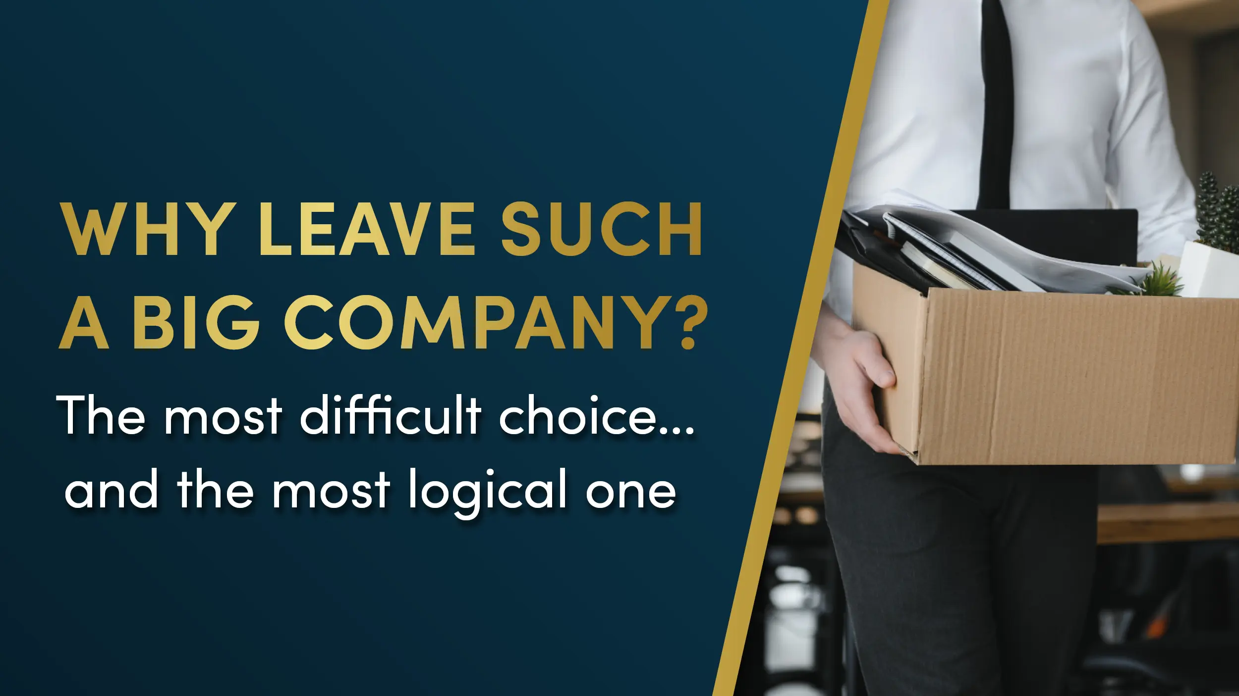 Why did you leave Italy's biggest direct marketing company?