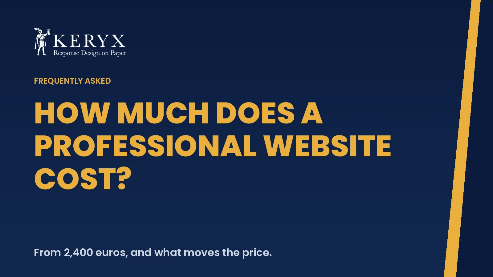 How much does a professional website cost?